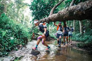 BIB: 
                            <button type="button" onclick="openModal(25369522)" class="btn btn-primary btn-sm float-right btn-popup" data-toggle="modal" data-target=".modal-high-quality">
                        <i class="fas fa-shopping-cart"></i> Add to Cart
                    </button>
                                            <button type="button" onclick="isThisMe(25369522, true)" class="btn btn-success btn-sm float-right btn-popup btn-isme hidden" data-toggle="tooltip" data-placement="bottom" title="นี่คือรูปของคุณใช่ไหม คลิกที่นี่เพื่อเอาเข้าอัลบั้ม">
                        <i class="fas fa-plus"></i> Add to album
                    </button>
                    <button type="button" onclick="isThisMe(25369522, false)" class="btn btn-warning btn-sm float-right btn-popup btn-isnotme hidden">
                        <i class="fas fa-ban"></i> Remove from album
                    </button>